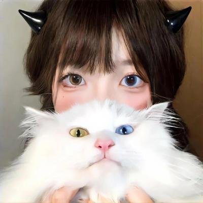 飞骑追踪